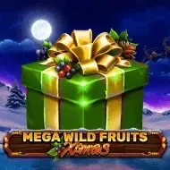 Mega Wild Fruits - XmasSpinomenal game icon
